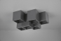 TRIO Deckenleuchte FERNANDO 6x 604900632 