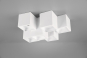 TRIO Deckenleuchte FERNANDO 6x 604900631 