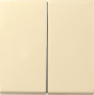 GIRA 029501 Wippe 2fach System 55 