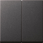 GIRA 029528 Wippe 2fach System 55 