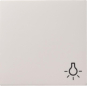 GIRA 028503 Wippe Symbol Licht System 55 