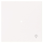 BJ Wippe 1-fach m.Symbol     6231-10-44G 