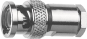TG BNC-Kabelstecker Löt 75   J01002A0001 