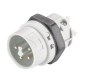 Wieland Stecker     RST16I5/4S S1 M03 GL 