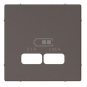 Merten Zentralplatte f.USB  MEG4367-0414 