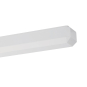 RIDI WLF 118 OT Ersatzwanne opal 0203226 