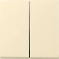 GIRA 029501 Wippe 2fach System 55 