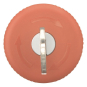 EATON M22-PVS NOT-HALT/AUS-Taste  216879 