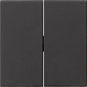 GIRA 0915005 Wippe 2fach Tastschalter 