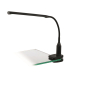 EGLO 96437 LED-Klemmleuchte LAROA 