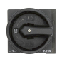 EATON P1-25/EA/SVB-SW/HI11        070194 