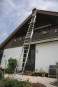 Krause "Tribilo" Sprossen         129673 