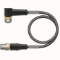 Turck Aktuator-u.  WKS12T-0,3-RSS12T/TEL 