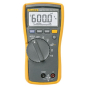 Fluke 114 EUR Echteffektiv DMM6000digits 