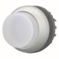 EATON M22-DRLH-W Leuchtdrucktaste 216788 
