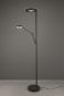 TRIO LED-Stehl.                424210332 