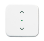 BJ Wippe 1-fach Symbol       6232-10-214 