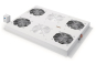 Assmann DN-19FAN-4-SRV   DN-19 FAN-4-SRV 