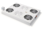 Assmann DN-19FAN-4-SRV   DN-19 FAN-4-SRV 