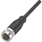 Balluff  BCC M415-0000-1A-003-PX0434-020 