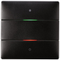 Theben KNX-Tastsensor 2   iON 102 KNX BK 