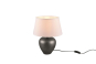 Trio Tischleuchte ABBY,1x E27  R50601901 