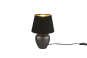 Trio Tischleuchte ABBY,1x E14  R50601002 