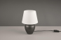 Trio Tischleuchte ABBY,1x E14  R50601001 