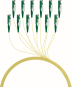 EFB Faserpigtail E2000 APC8°     O0770.2 
