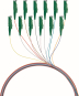 EFB Faserpigtail E2000 APC8°     O0769.2 
