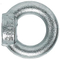 Fischer Ringmutter RI M 10        080842 