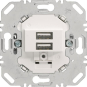 Berker USB Ladesteckdose 230V     260209 