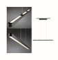 Paulmann URail Pendel Lento 42W    96816 