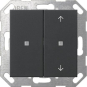 GIRA 5175005 Taster Wippe 2fach unbedr./ 