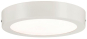 Paulmann WallCeiling Lunar LED     70642 