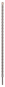 Bosch Hammerbohrer SDS-plus   1618596226 