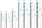 Bosch EXPERT CYL-9            2608900648 