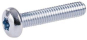 Striebel Flachkopf-Schrauben    ZX912P10 