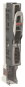Striebel LASTLEIST.ZLBM NH-00 100 ZE591M 