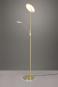 Trio LED-Stehl BRANTFORD 30W   425610208 