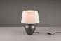 Trio Tischleuchte ABBY,1x E27  R50601901 