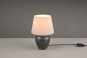 Trio Tischleuchte ABBY,1x E14  R50601001 