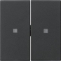 GIRA 5369005 Wippe 2fach unbedruckt KF 