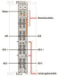 WAGO 753-655 AS-Interface-Master, 
