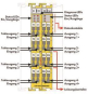 WAGO 750-667/000-003 Sicherer 