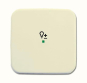 BJ Wippe 1-fach Symbol Licht 6234-10-212 