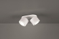 TRIO Ein-/Aufbauspot TAURUS ws 652910231 