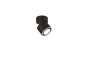 TRIO Ein-/Aufbauspot TAURUS sw 652910132 