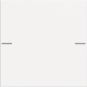 GIRA 575127 Wippenset 1fach Tastsensor4 