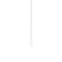 Zumtobel CAELA PENDANT TUBE     60500034 